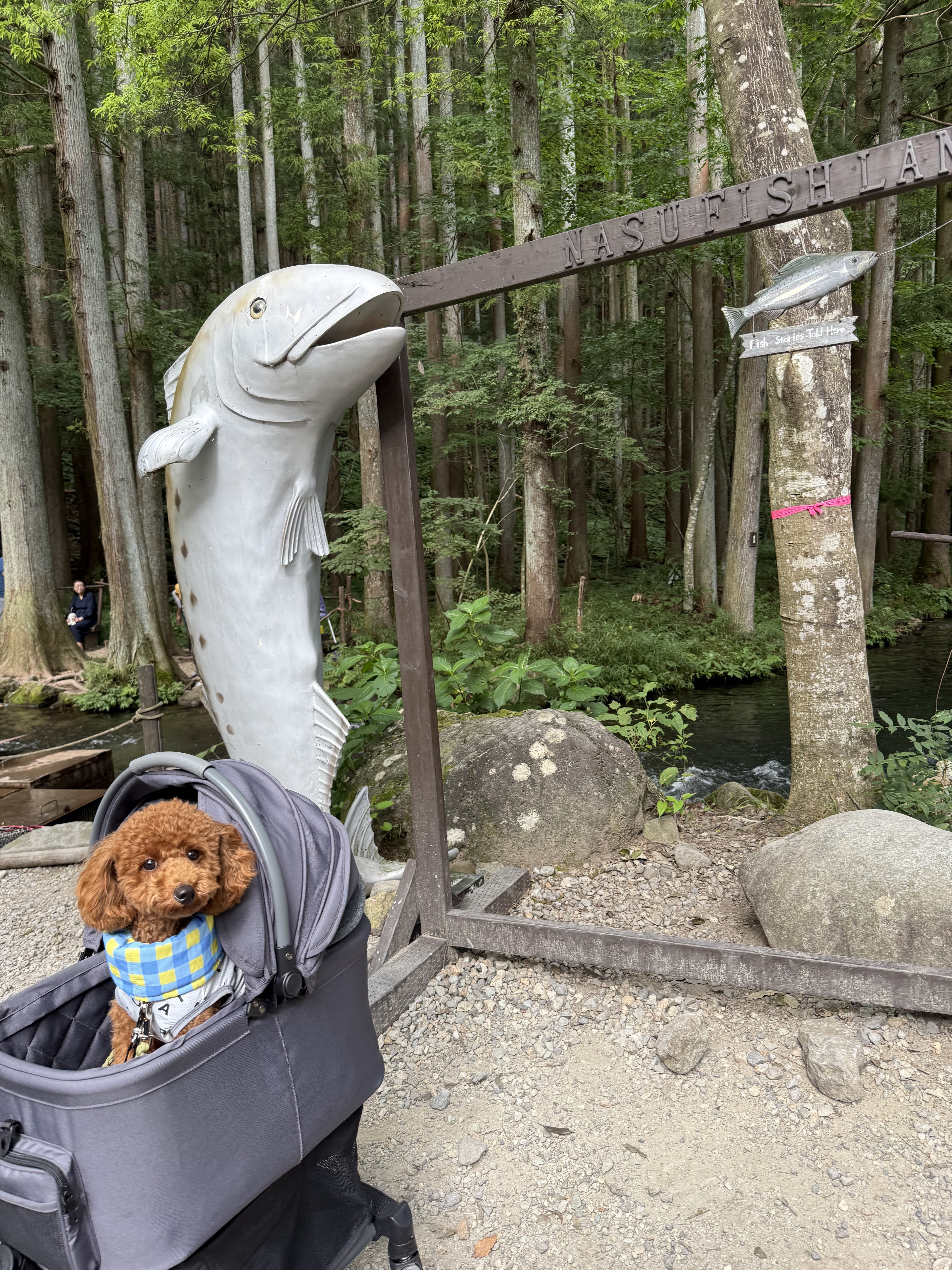 那須フィッシュランド 2