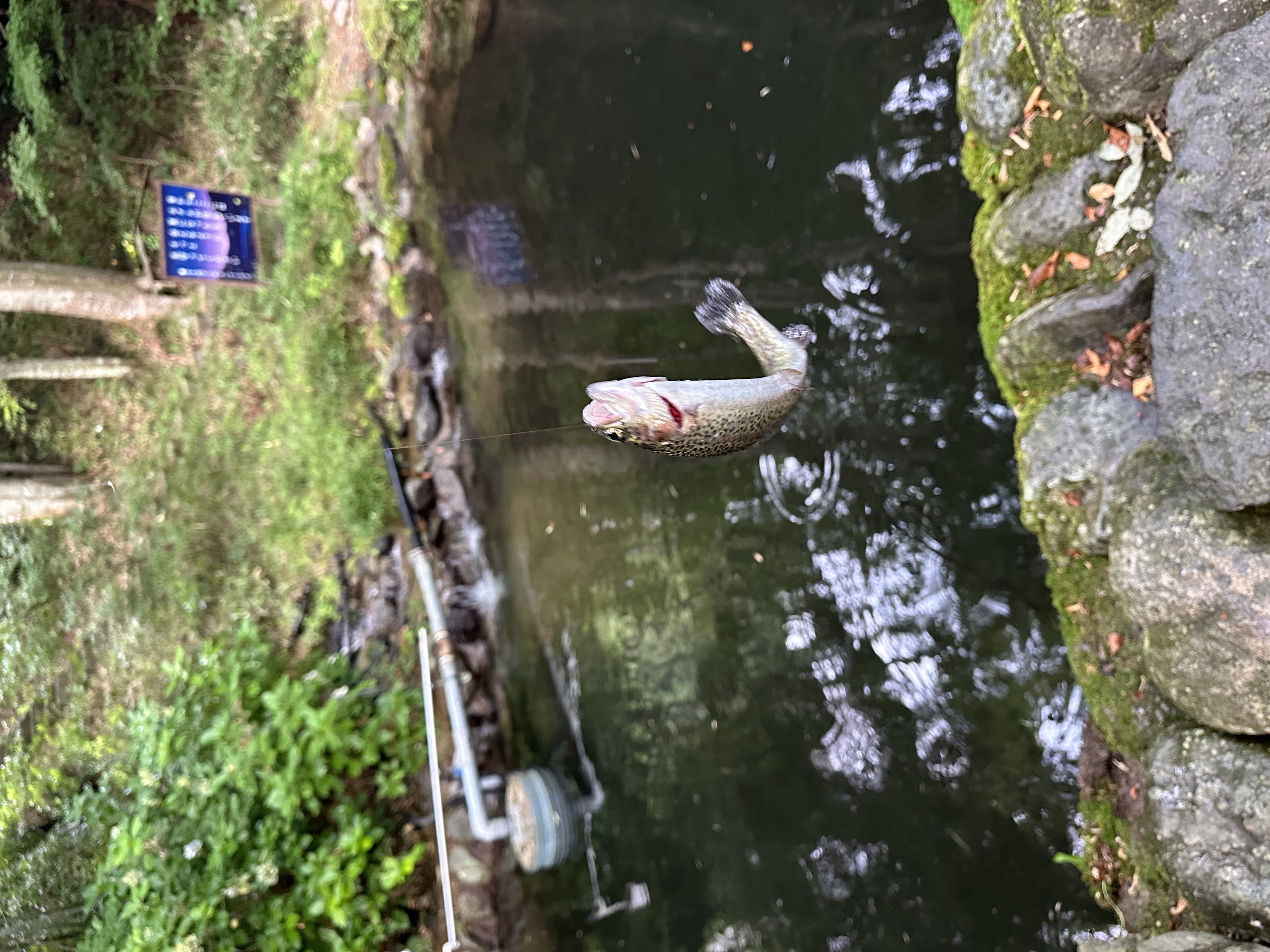 那須フィッシュランド 9