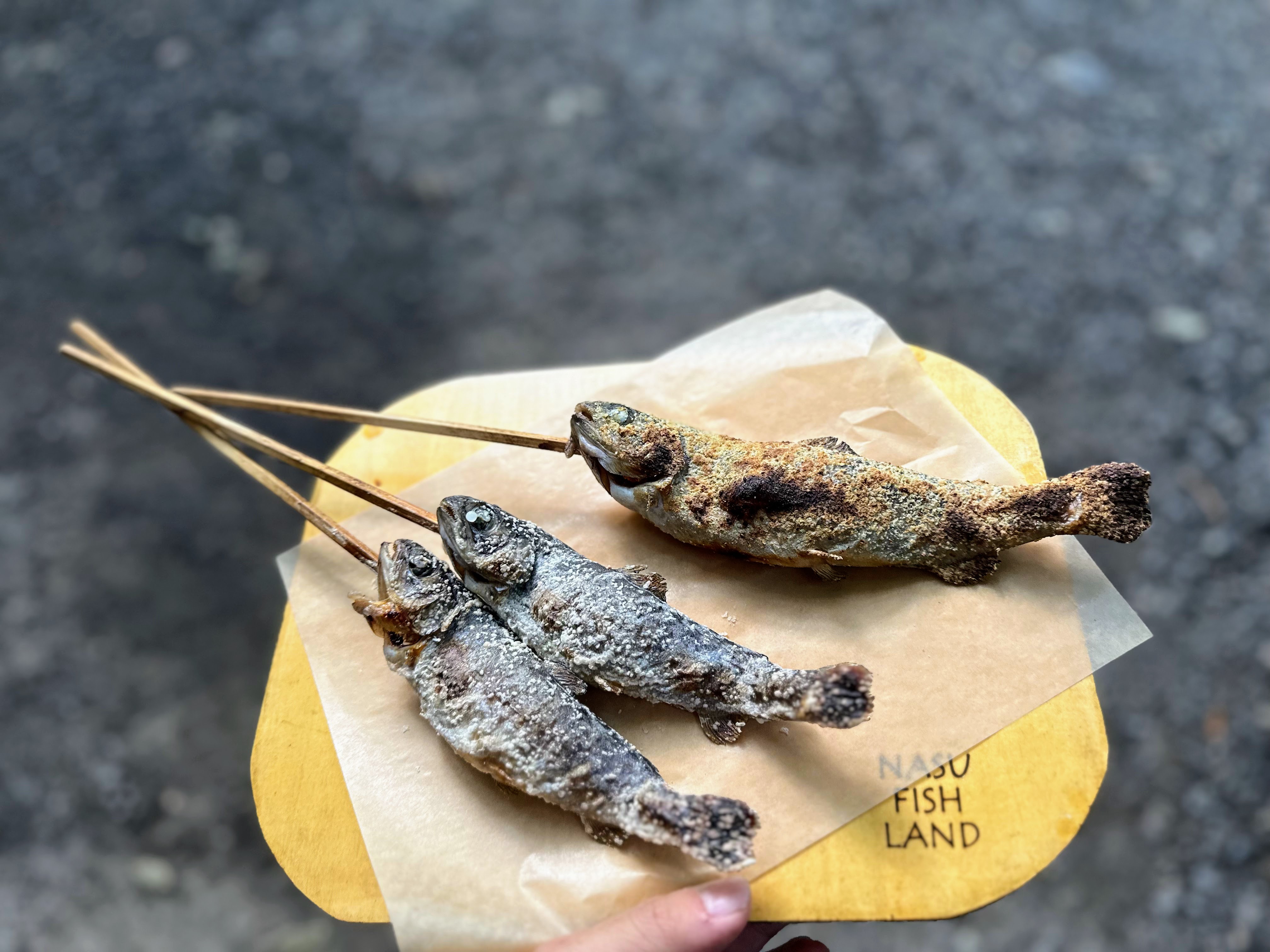 那須フィッシュランド 1