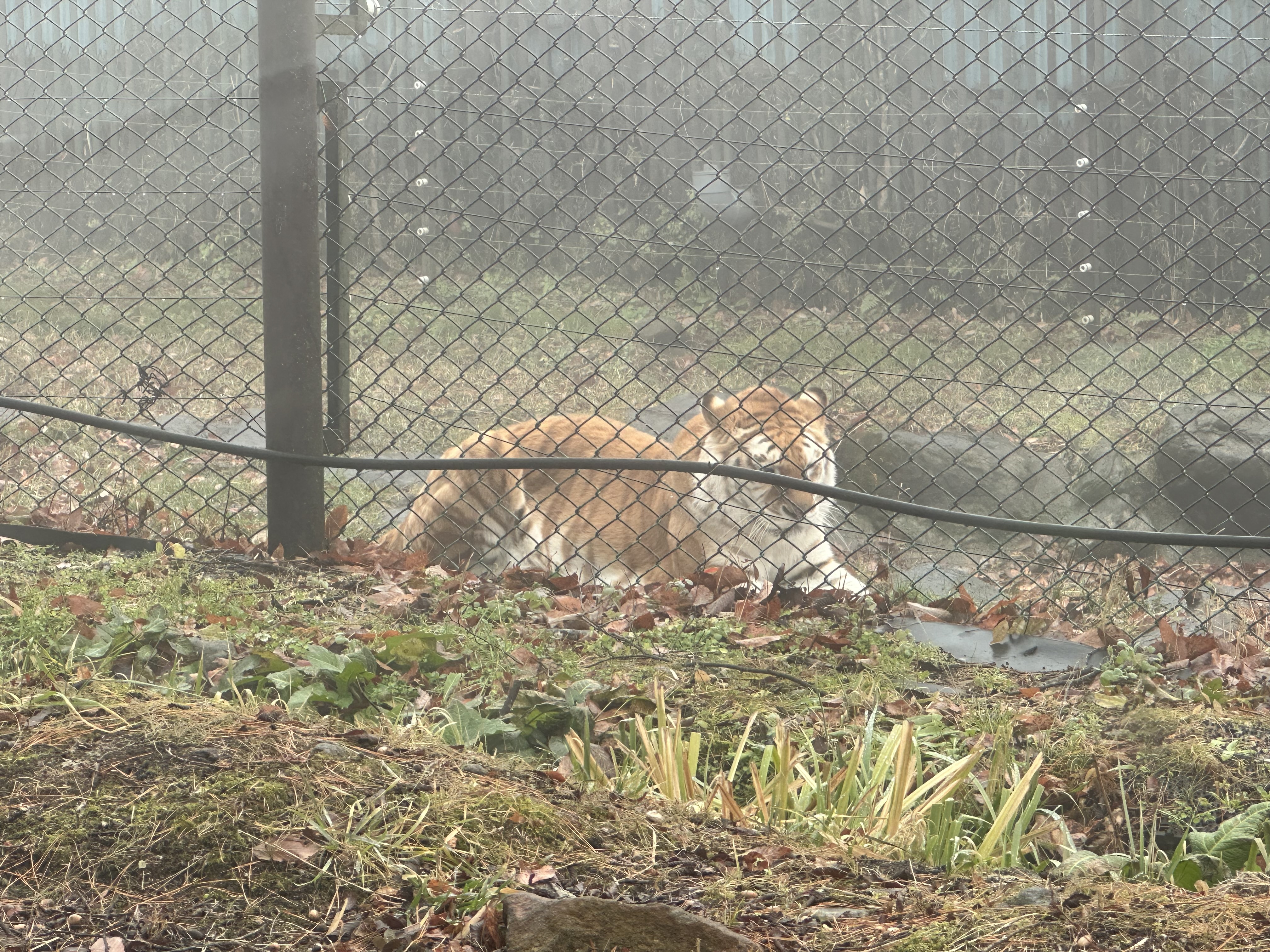 那須サファリパーク 2