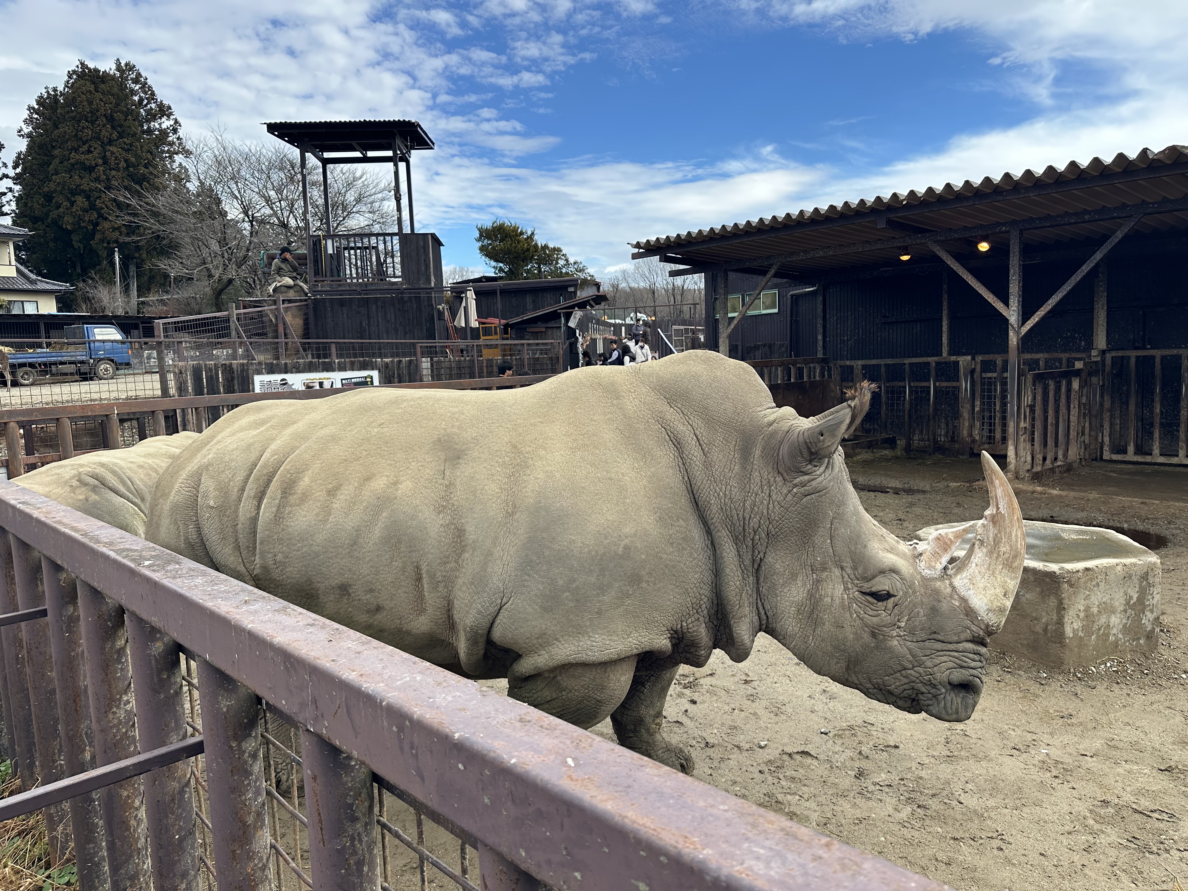 那須サファリパーク 6