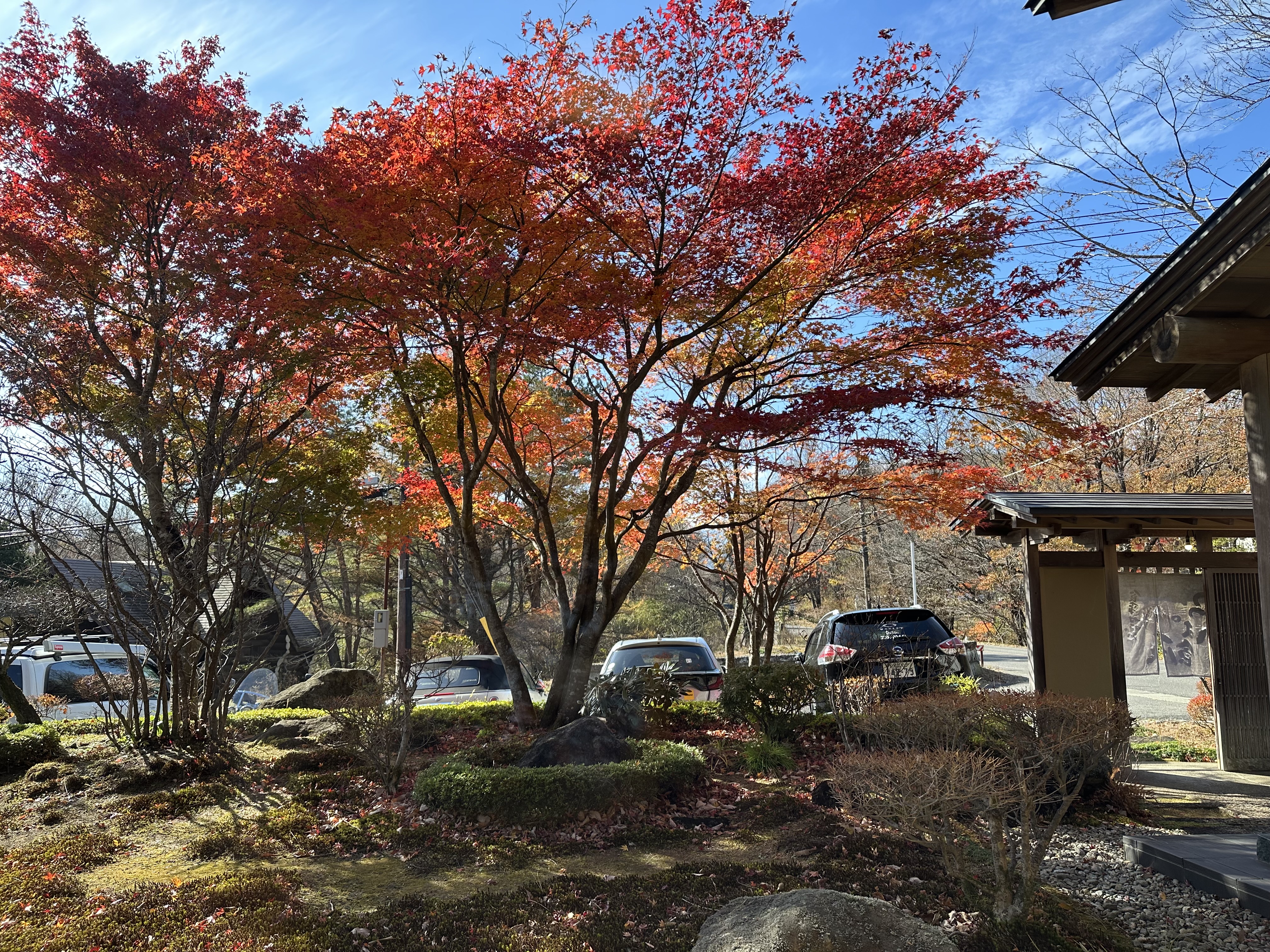 那須わっぱ おだやか 1