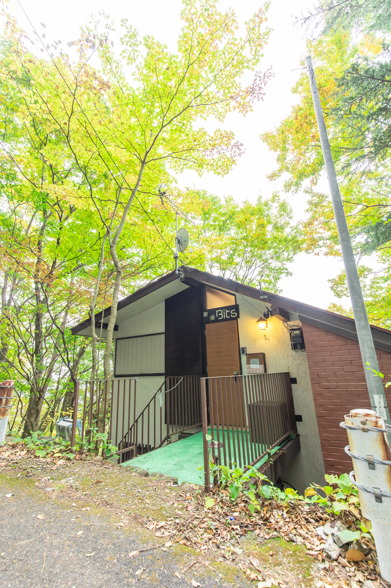 ギャラリー画像 1